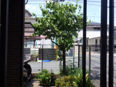 施工画像