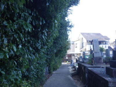 施工画像