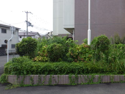 施工画像