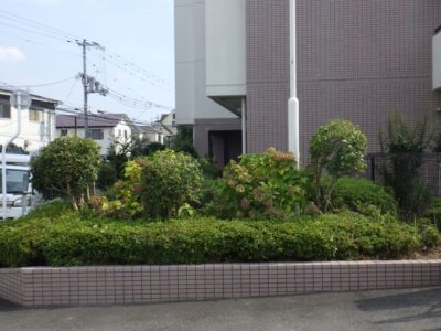 施工画像