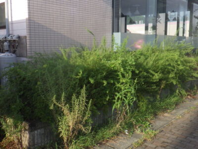 施工画像