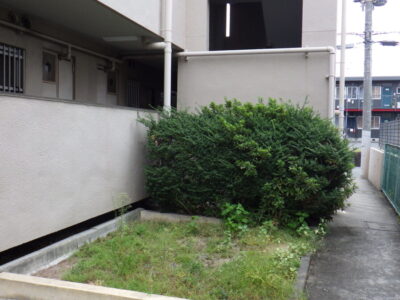 施工画像