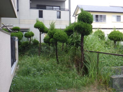 施工画像