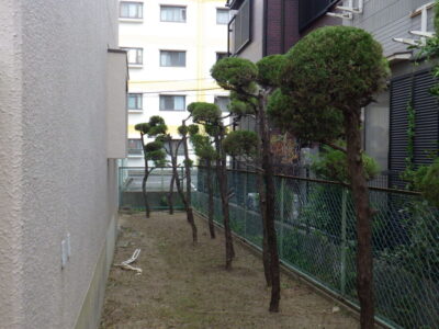 施工画像