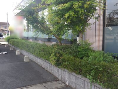 施工画像