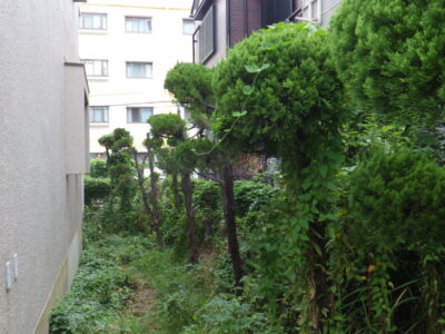 施工画像