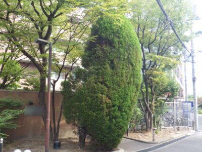 施工画像