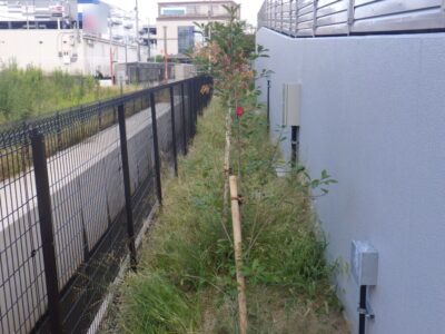 物流センター内の「除草作業」を3人2日で実施した事例｜大阪府高槻市