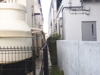 建物の間に植えられた高さ2mのレッドロビンの「生垣剪定」を1人3時間で実施した事例|大阪府高槻市