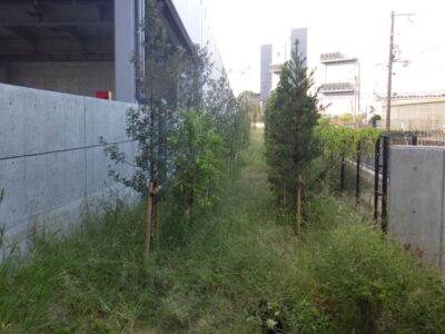 物流センター内の「除草作業」を3人2日で実施した事例｜大阪府高槻市