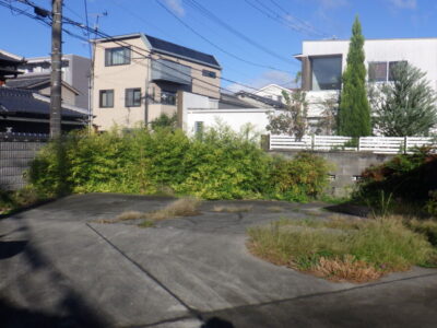 庭のカイズカイブキとササなどの剪定・除草を3人6時間で実施|大阪府摂津市の施工事例