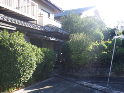 庭のカイズカイブキと笹(ササ)などの剪定・除草を3人6時間で実施|大阪府摂津市の施工事例