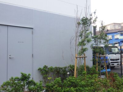 今年の夏に竣工した物流センターの中高木剪定(約300本)を3人2日で実施した事例|大阪府高槻市