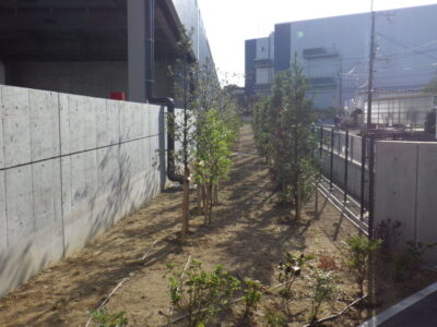 物流センター内の「除草作業」を3人2日で実施した事例｜大阪府高槻市