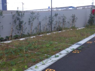 物流センター内の「除草作業」を3人2日で実施した事例｜大阪府高槻市