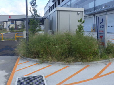 物流センター内の「除草作業」を3人2日で実施した事例｜大阪府高槻市