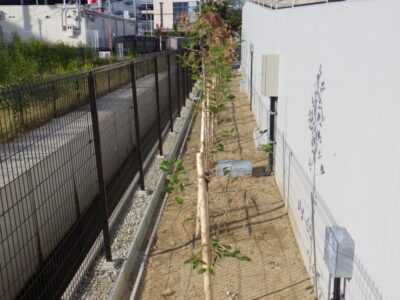 物流センター内の「除草作業」を3人2日で実施した事例｜大阪府高槻市