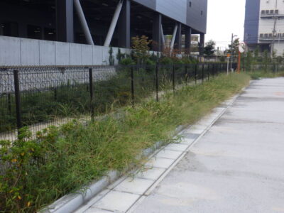 物流センター内の「除草作業」を3人2日で実施した事例｜大阪府高槻市