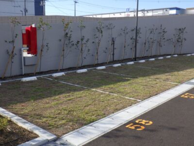物流センター内の「除草作業」を3人2日で実施した事例｜大阪府高槻市