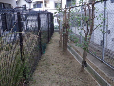 【マンション自治会からのご依頼】フェンス周りの除草作業を2人半日で実施した事例|大阪府枚方市