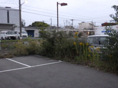 倉庫の駐車場および周辺の「草刈り・除草作業」を2人1日で実施した事例|大阪府枚方市