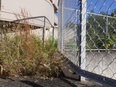 【マンション自治会からのご依頼】フェンス周りの除草作業を2人半日で実施した事例|大阪府枚方市