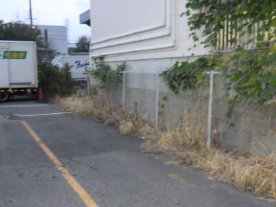 倉庫の駐車場および周辺の「草刈り・除草作業」を2人1日で実施した事例|大阪府枚方市