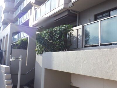 【マンション自治会からのご依頼】高所に植えられた高さ4mのカシと高さ2mのレッドロビンの生垣を2人半日で剪定した事例|大阪府枚方市