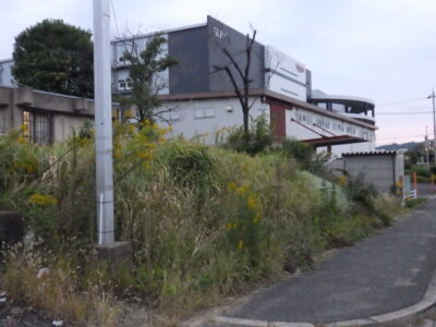 倉庫の駐車場および周辺の「草刈り・除草作業」を2人1日で実施した事例|大阪府枚方市