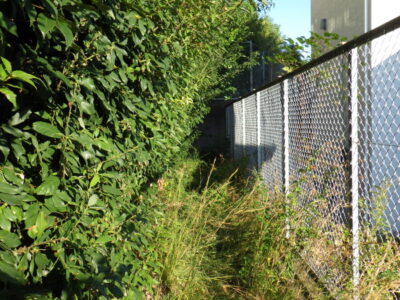 【マンション自治会からのご依頼】フェンス周りの除草作業を2人半日で実施した事例|大阪府枚方市