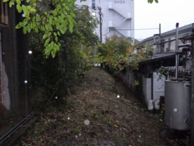 倉庫の駐車場および周辺の「草刈り・除草作業」を2人1日で実施した事例|大阪府枚方市