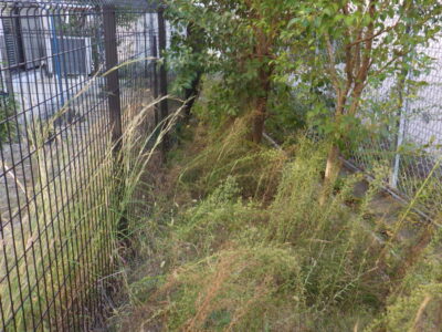 【マンション自治会からのご依頼】フェンス周りの除草作業を2人半日で実施した事例|大阪府枚方市