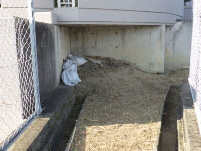 【マンション自治会からのご依頼】フェンス周りの除草作業を2人半日で実施した事例|大阪府枚方市