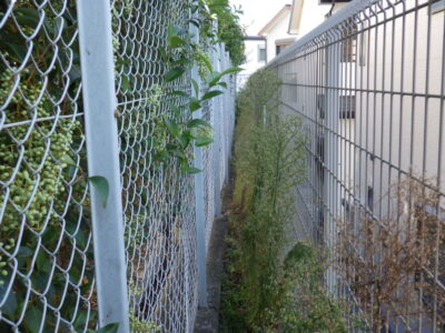 【マンション自治会からのご依頼】フェンス周りの除草作業を2人半日で実施した事例|大阪府枚方市