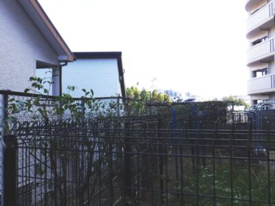 マンション自治会からのご依頼で高さ3mのネズミモチ10本を2人2時間で剪定した事例|大阪府枚方市