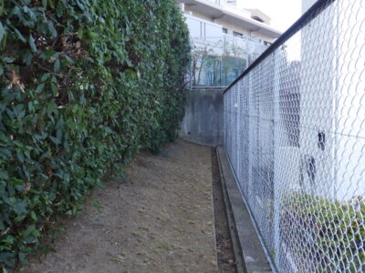 【マンション自治会からのご依頼】フェンス周りの除草作業を2人半日で実施した事例|大阪府枚方市