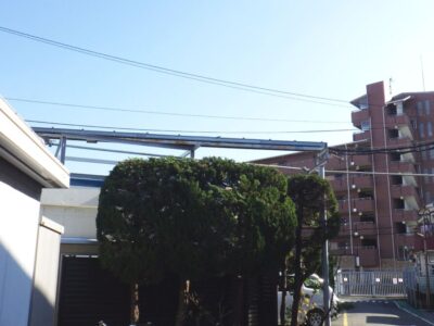 高圧電線にかかった高さ約7mのカイヅカイブキを3人半日で安全に剪定した事例｜大阪府大阪市淀川区