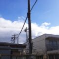 電線に干渉していた高さ約10m、太さ約70cmのクスノキを2人半日で伐採した事例|大阪府大阪市住之江区
