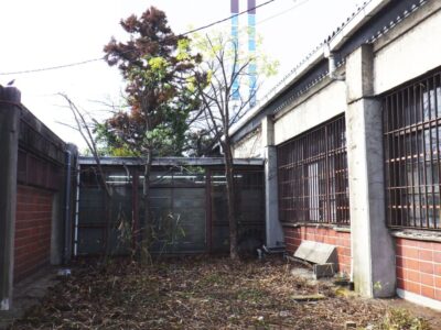 企業敷地内の高木5本（最大約10m）の剪定・強剪定と雑木伐採を実施した事例｜大阪府枚方市