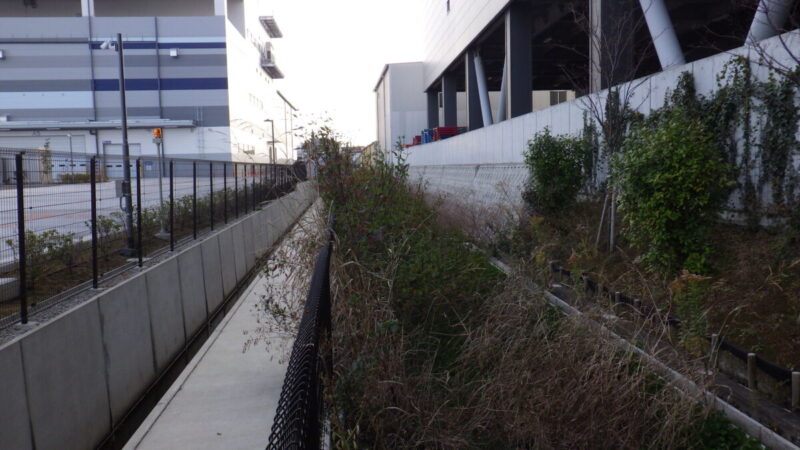 京田辺市の物流センター外周に生い茂った雑草の放置状態