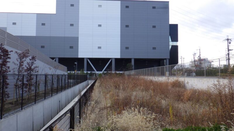 管理不足で茎が太くなり産廃重量が増大するリスクがある雑草地