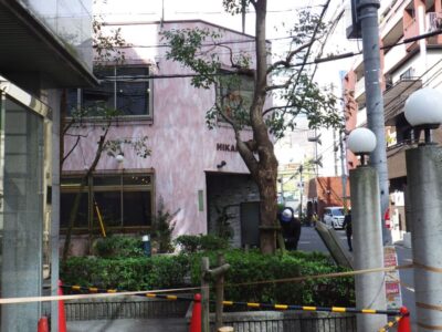 根の影響でブロックが崩壊したり浮き上がるトラブル対応でサクラ・ケヤキを3人1日で伐採した事例｜大阪府大阪市北区