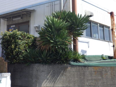 施工画像