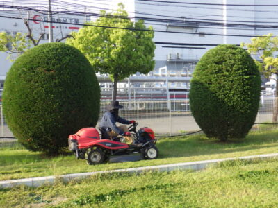 自走式草刈り機　大阪　除草