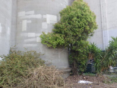 施工画像