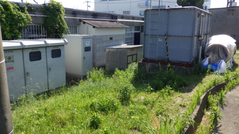 奈良市・生駒市の工場敷地や空き地周辺に生い茂る雑草の様子