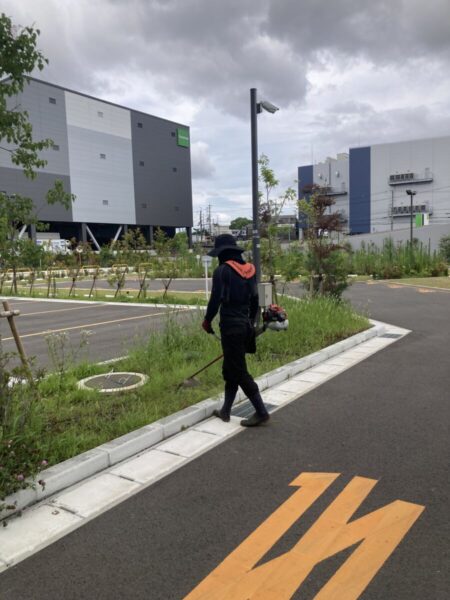 大阪で、草刈り機を使って除草作業をします。