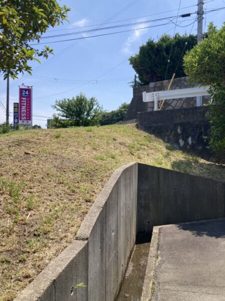 京都・久御山の倉庫敷地内における台風後の倒木撤去および即時清掃完了後の様子(After)