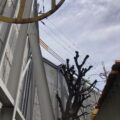 大住・京田辺の物流倉庫における高木剪定・台風倒木対策の施工事例
