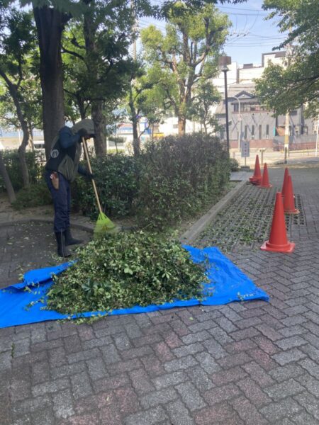 京都市・八幡市の病院・施設敷地内で剪定後にブロワーや竹ぼうきを使い即時清掃を徹底する作業員